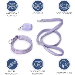 Martingale Collar Sets