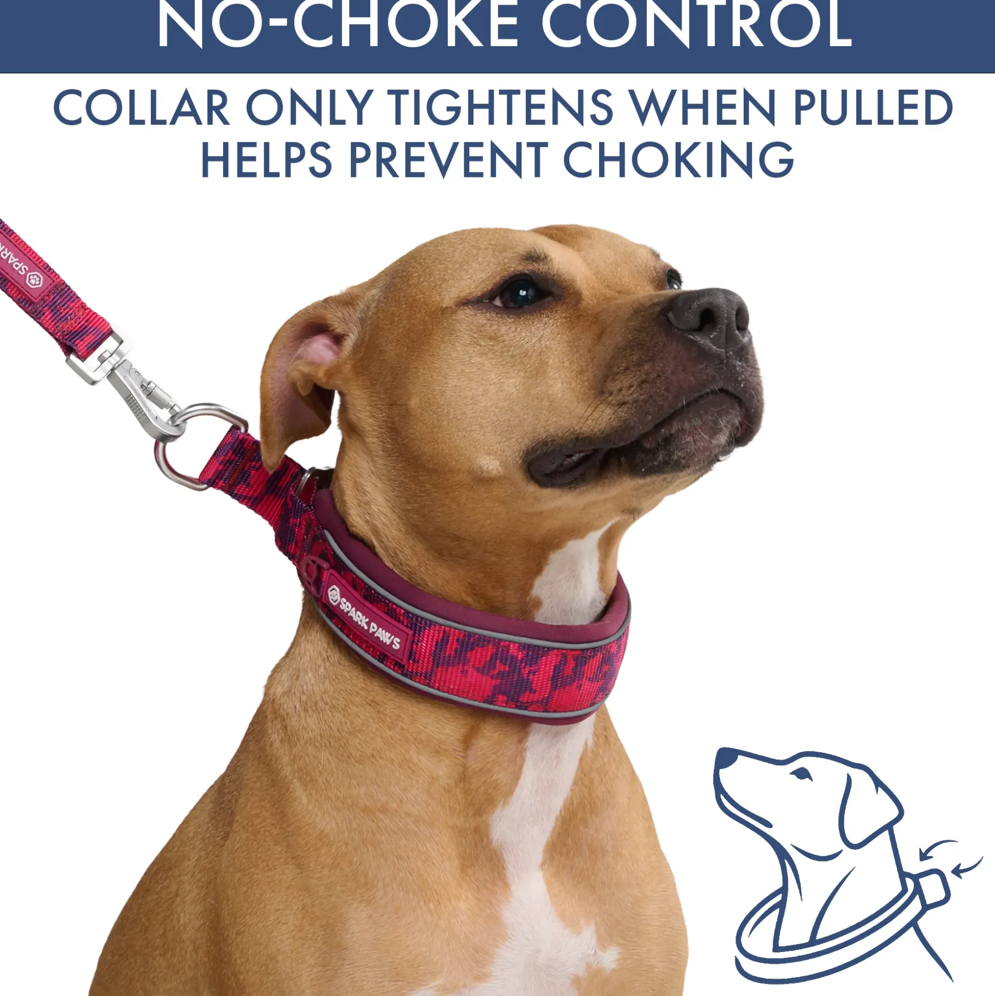 Martingale Collar Sets