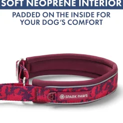 Martingale Collar Sets