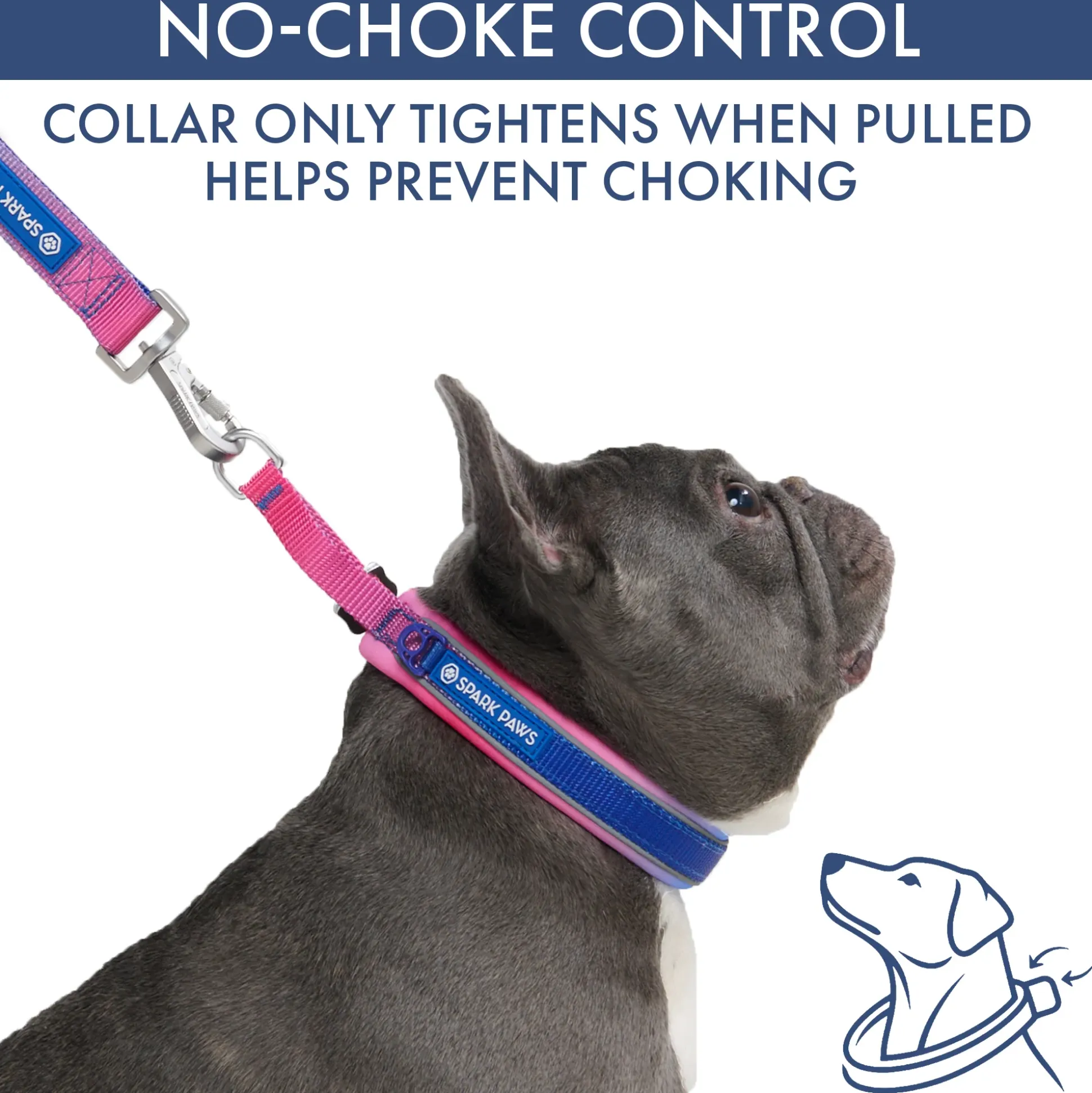 Martingale Collar Set - Snow Cone