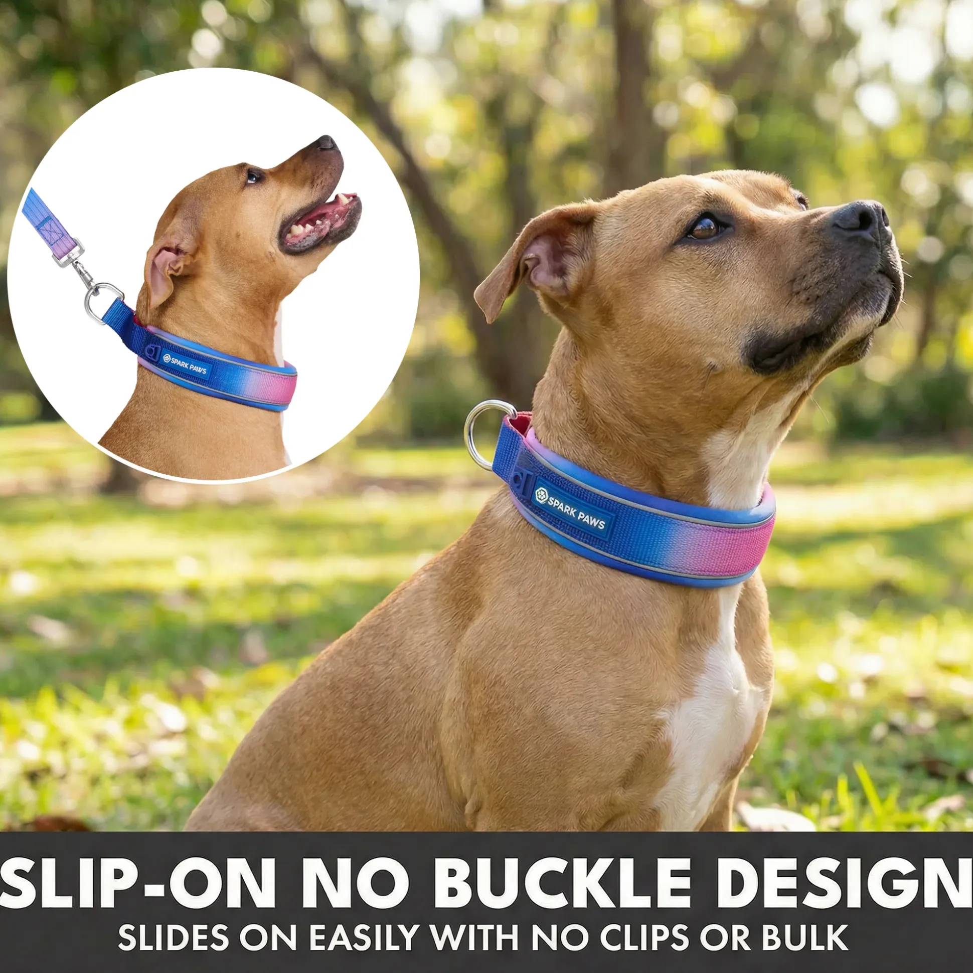 Martingale Collar Set - Snow Cone