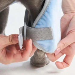 10 Minute Dry Dog Bathrobe