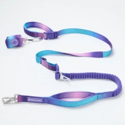 Multipurpose Seatbelt Handsfree Leash & Poop Bag Holder Set