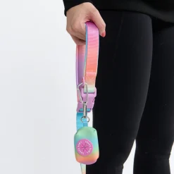 Multipurpose Seatbelt Handsfree Leash & Poop Bag Holder Set