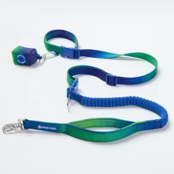 Multipurpose Seatbelt Handsfree Leash & Poop Bag Holder Set