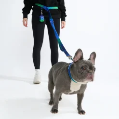Multipurpose Seatbelt Handsfree Leash & Poop Bag Holder Set