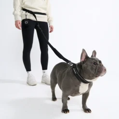 Multipurpose Seatbelt Handsfree Leash & Poop Bag Holder Set