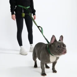 Multipurpose Seatbelt Handsfree Leash & Poop Bag Holder Set