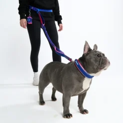 Multipurpose Seatbelt Handsfree Leash & Poop Bag Holder Set