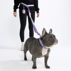 Multipurpose Seatbelt Handsfree Leash & Poop Bag Holder Set