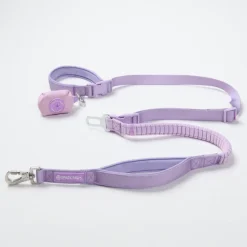 Multipurpose Seatbelt Handsfree Leash & Poop Bag Holder Set