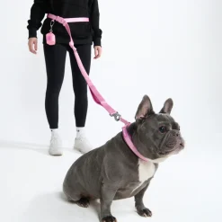 Multipurpose Seatbelt Handsfree Leash & Poop Bag Holder Set