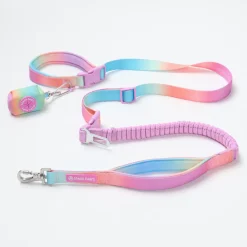 Multipurpose Seatbelt Handsfree Leash & Poop Bag Holder Set