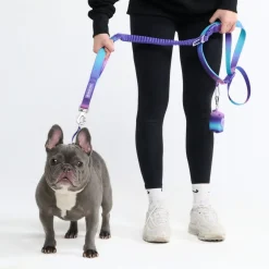 Multipurpose Seatbelt Handsfree Leash & Poop Bag Holder Set - 90s Retro