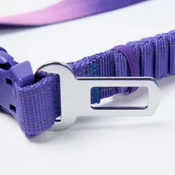 Multipurpose Seatbelt Handsfree Leash & Poop Bag Holder Set - 90s Retro