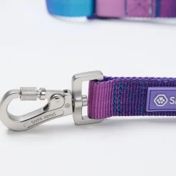 Multipurpose Seatbelt Handsfree Leash & Poop Bag Holder Set - 90s Retro