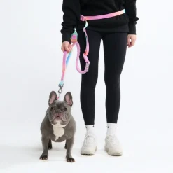 Multipurpose Seatbelt Handsfree Leash & Poop Bag Holder Set - Pastel Icing