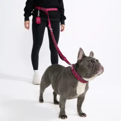 Multipurpose Seatbelt Handsfree Leash & Poop Bag Holder Set - Fuchsia Camo