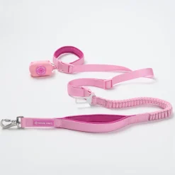 Multipurpose Seatbelt Handsfree Leash & Poop Bag Holder Set - Pink