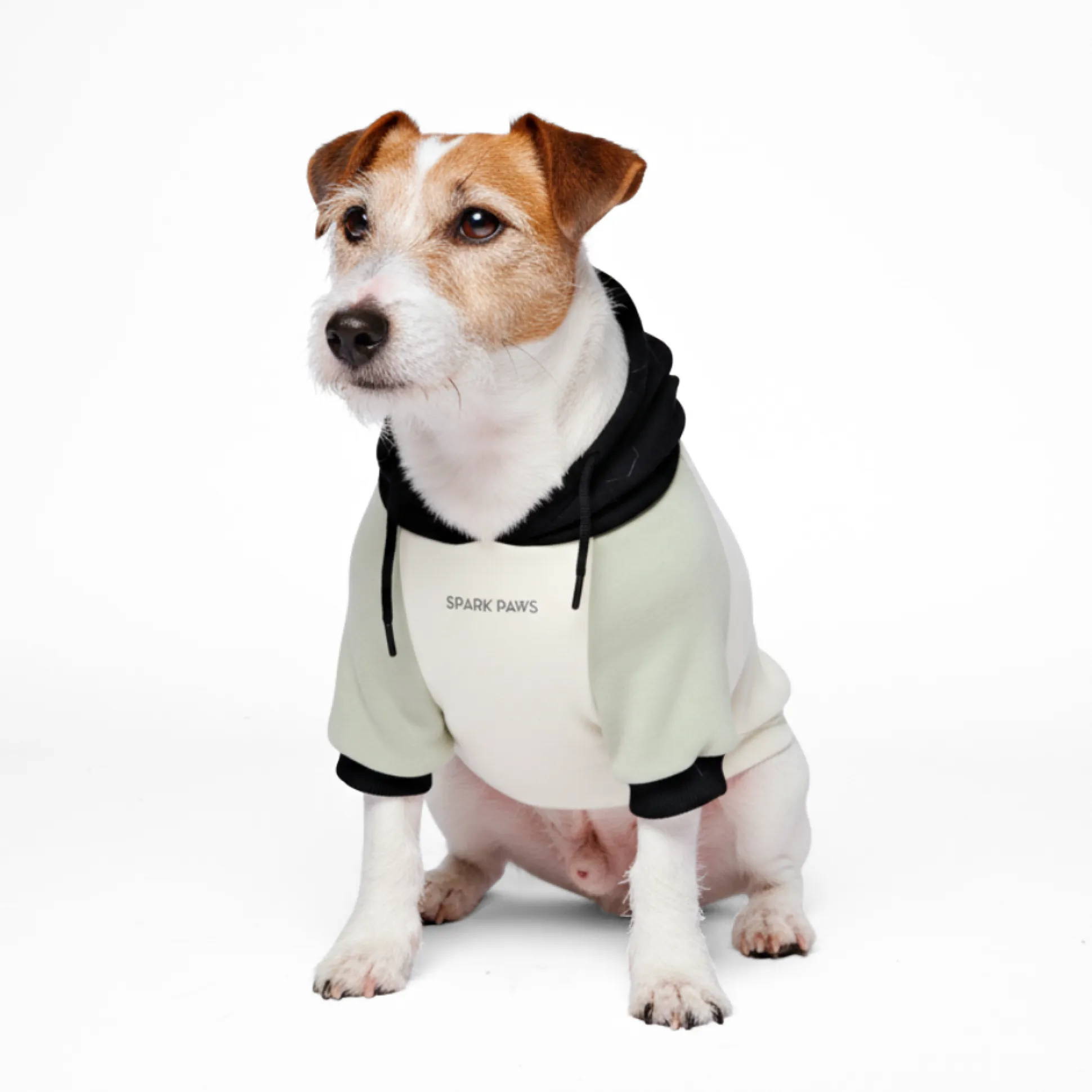 Olive Cream Dog Hoodie