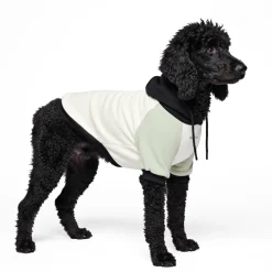 Olive Cream Dog Hoodie