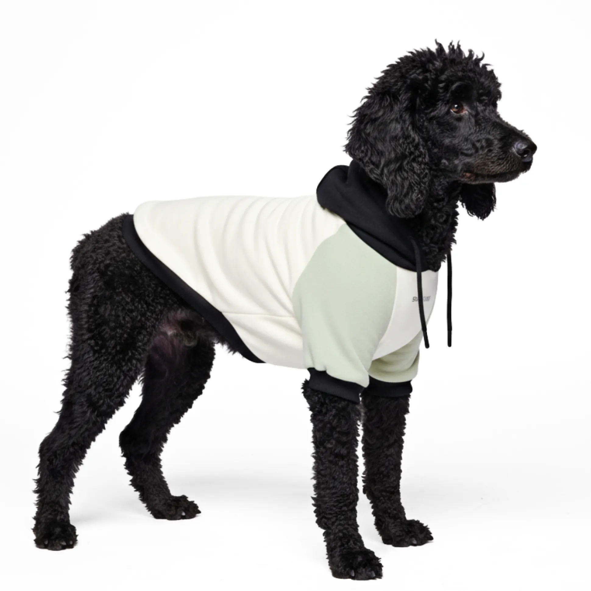 Olive Cream Dog Hoodie