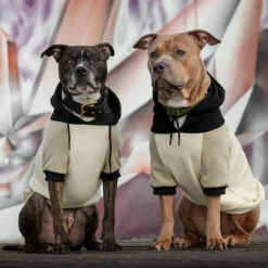 Olive Cream Dog Hoodie