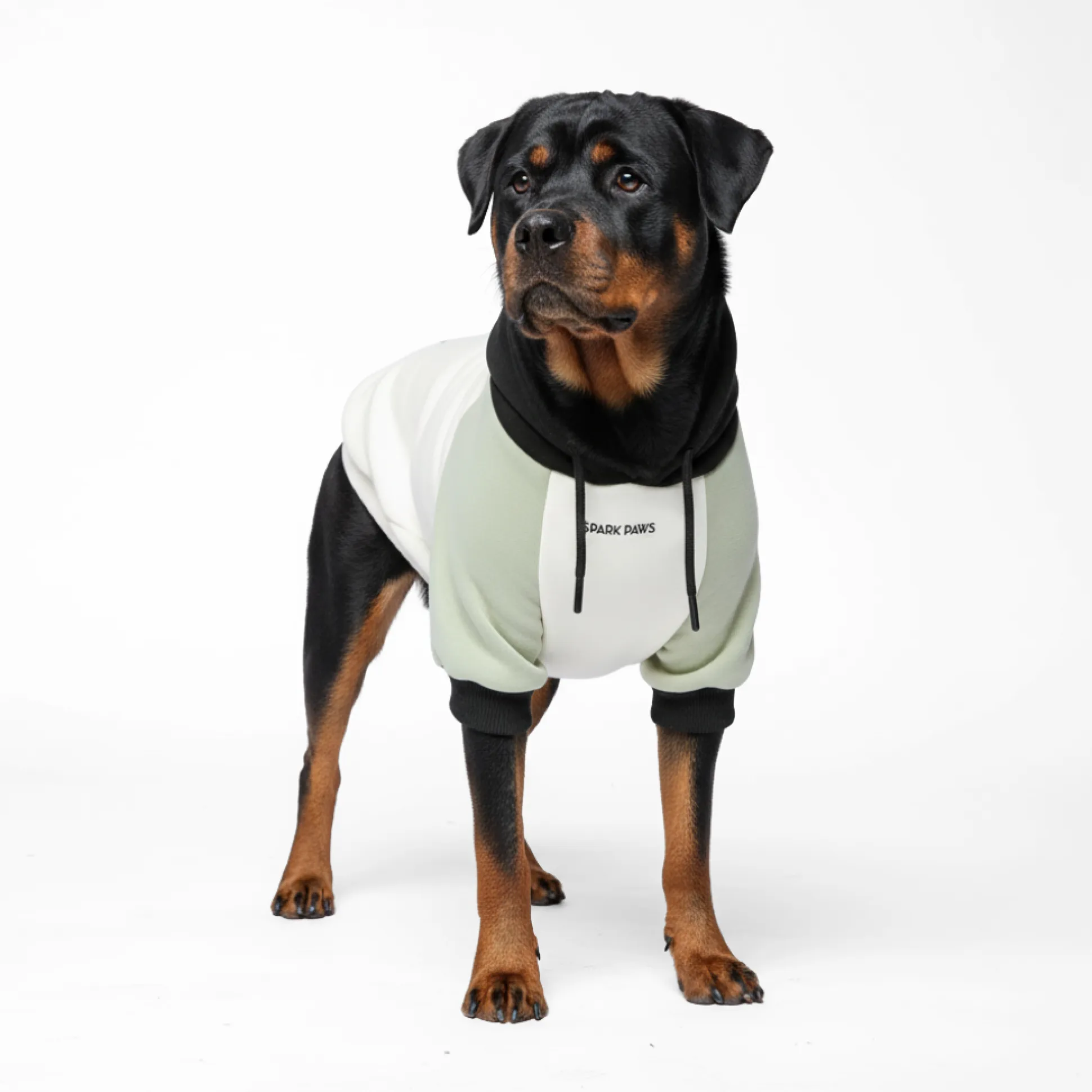 Olive Cream Dog Hoodie