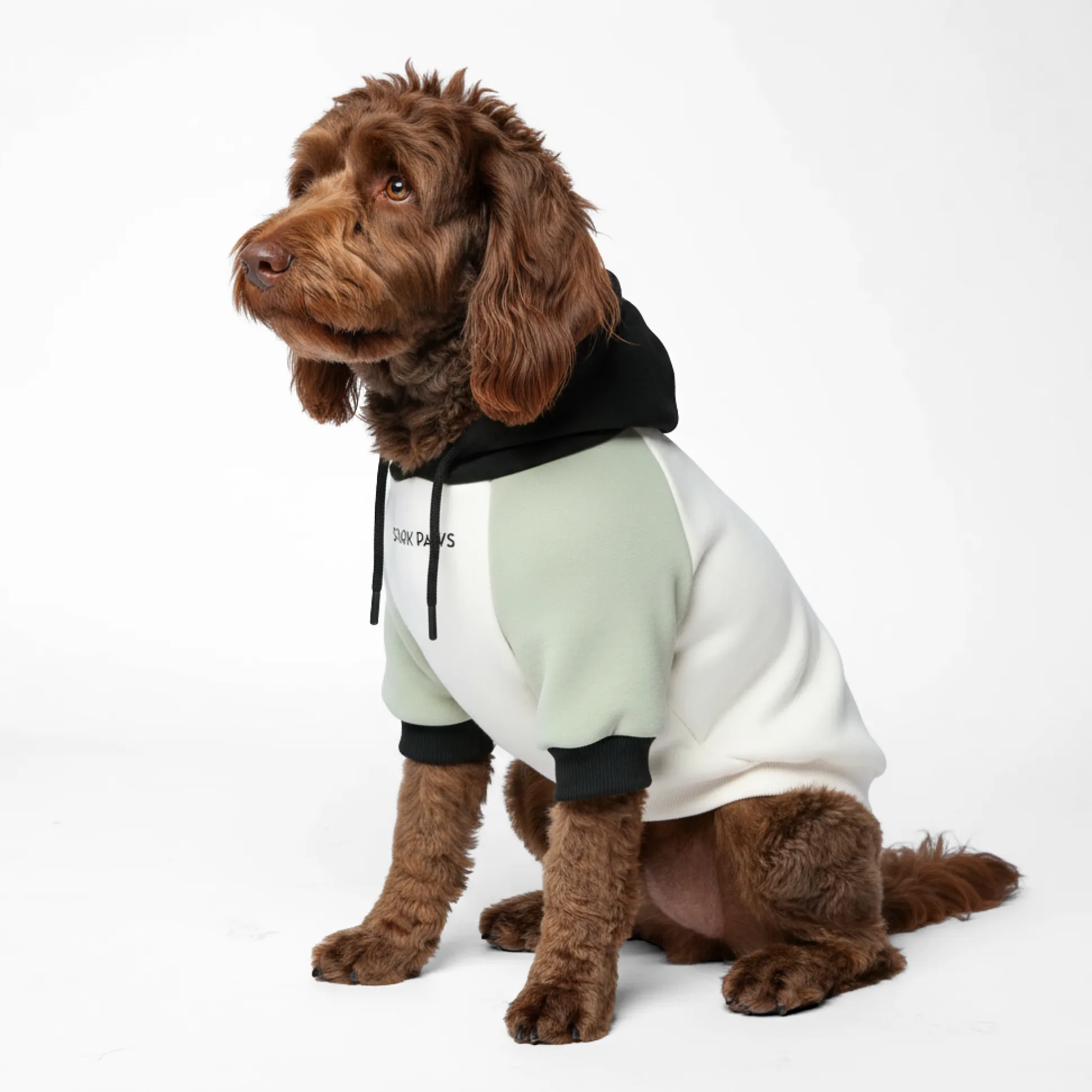 Olive Cream Dog Hoodie