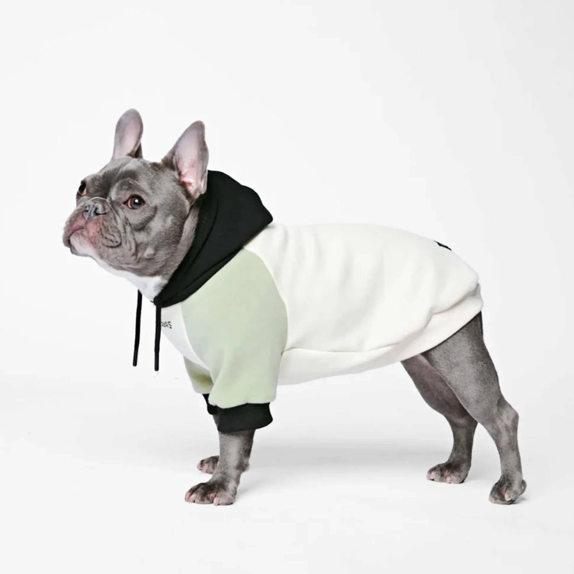 Olive Cream Dog Hoodie