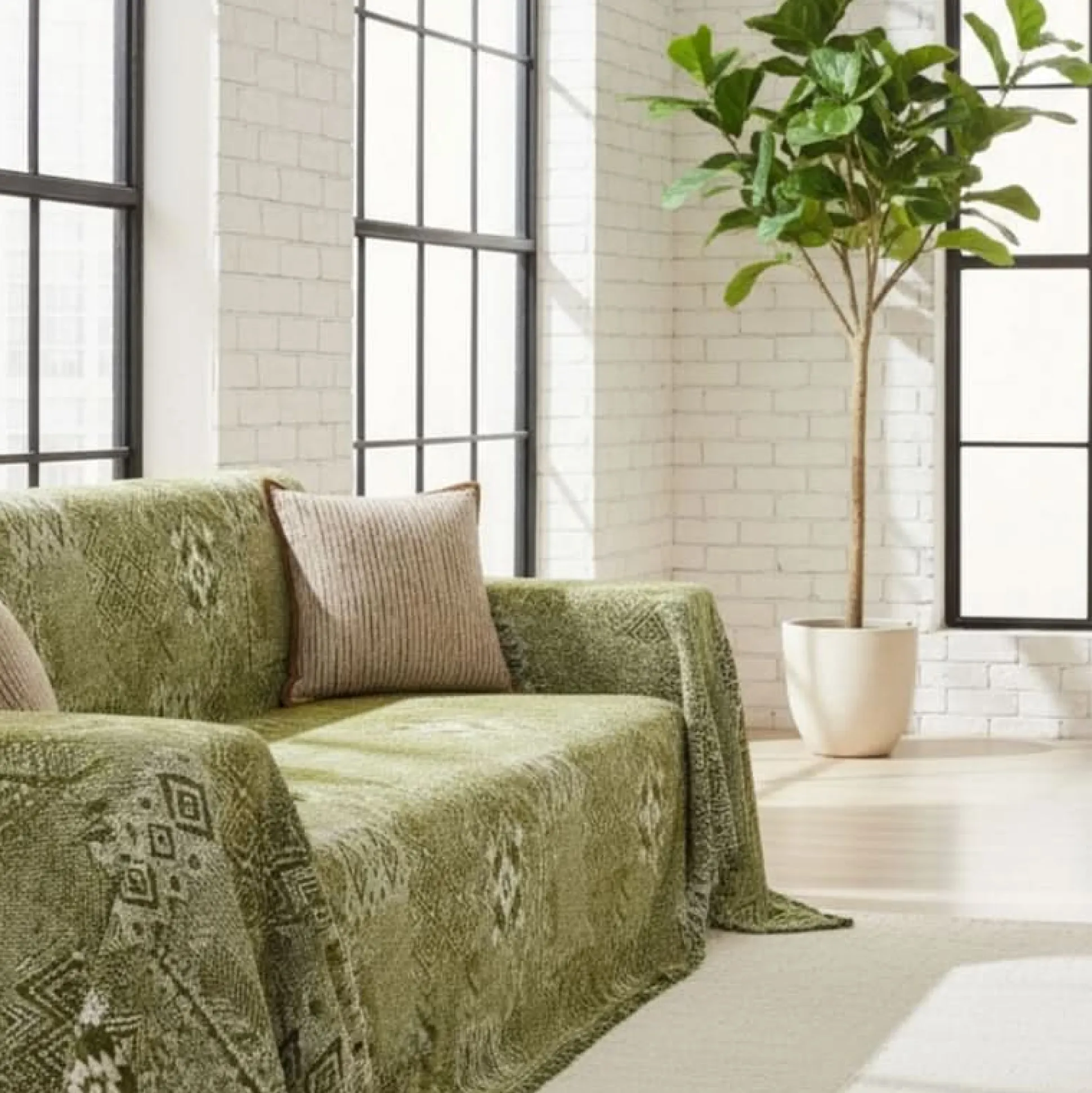 Pet Couch Covers