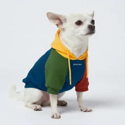 Primary Color Block Dog Hoodie