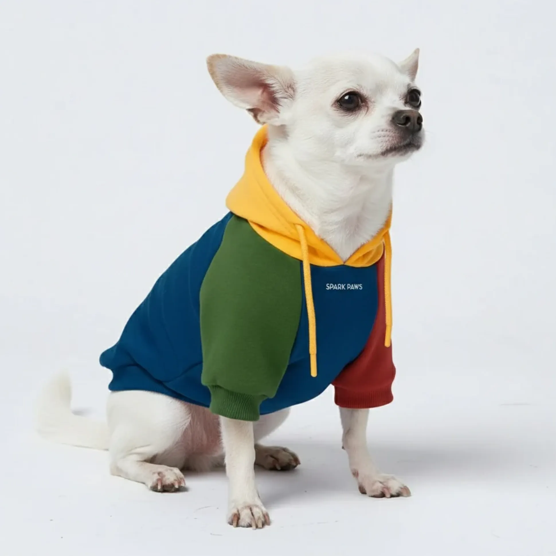 Primary Color Block Dog Hoodie