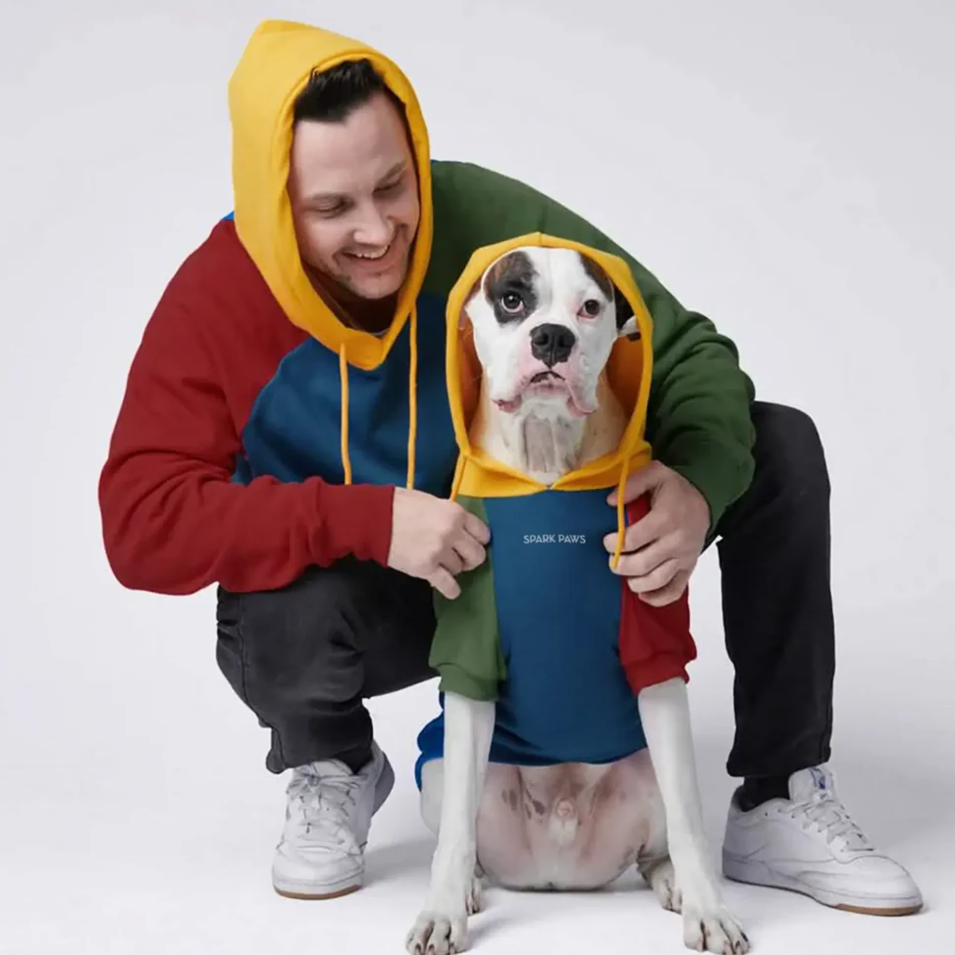 Primary Color Block Dog Hoodie