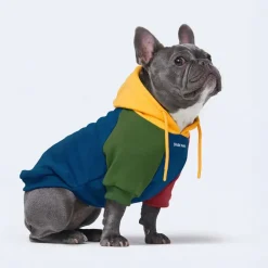 Primary Color Block Dog Hoodie