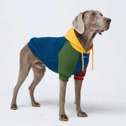 Primary Color Block Dog Hoodie