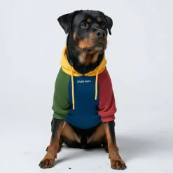 Primary Color Block Dog Hoodie