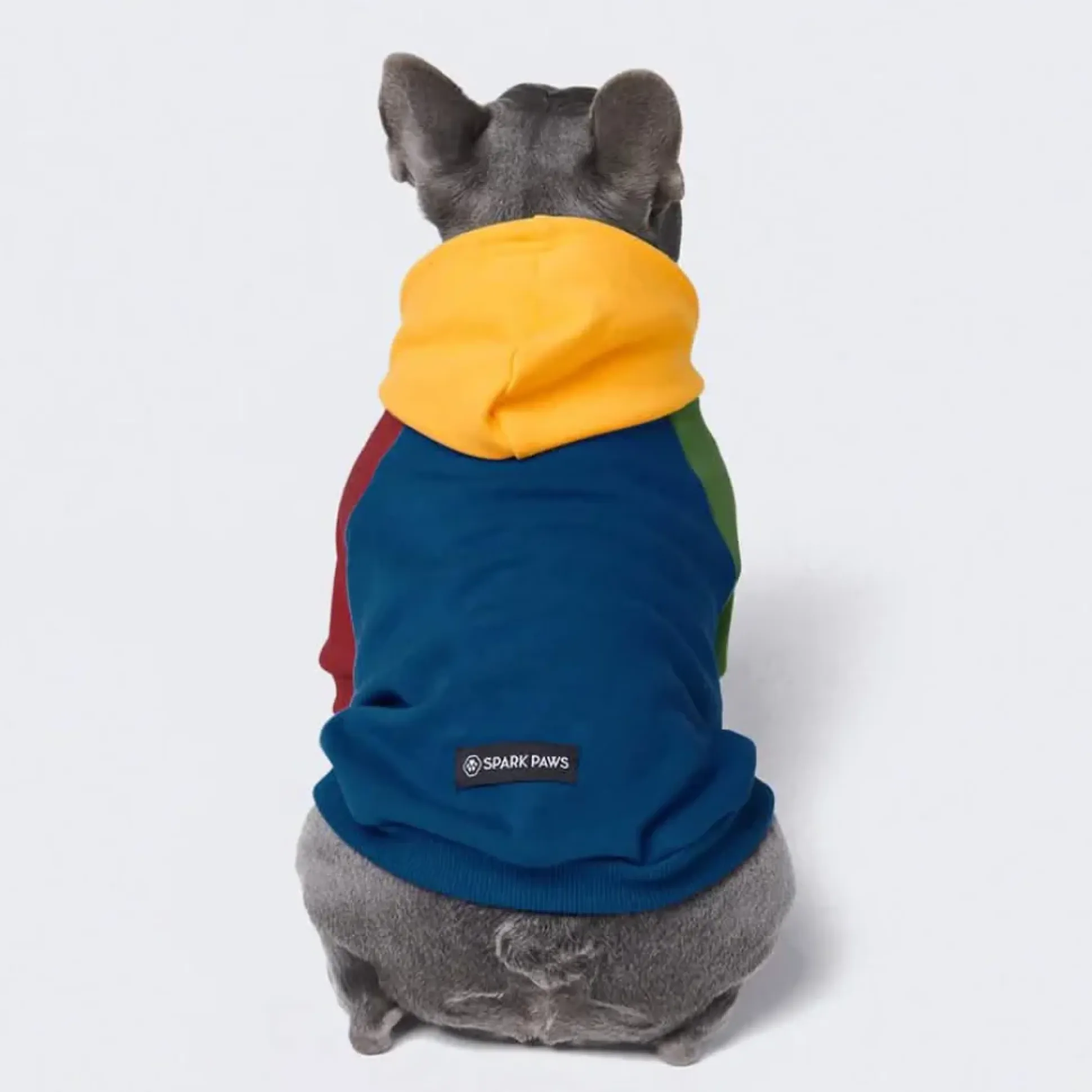 Primary Color Block Dog Hoodie