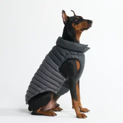 PuffShield Winter Jacket - Black