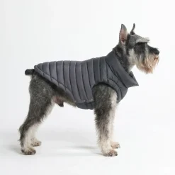 PuffShield Winter Jacket - Black
