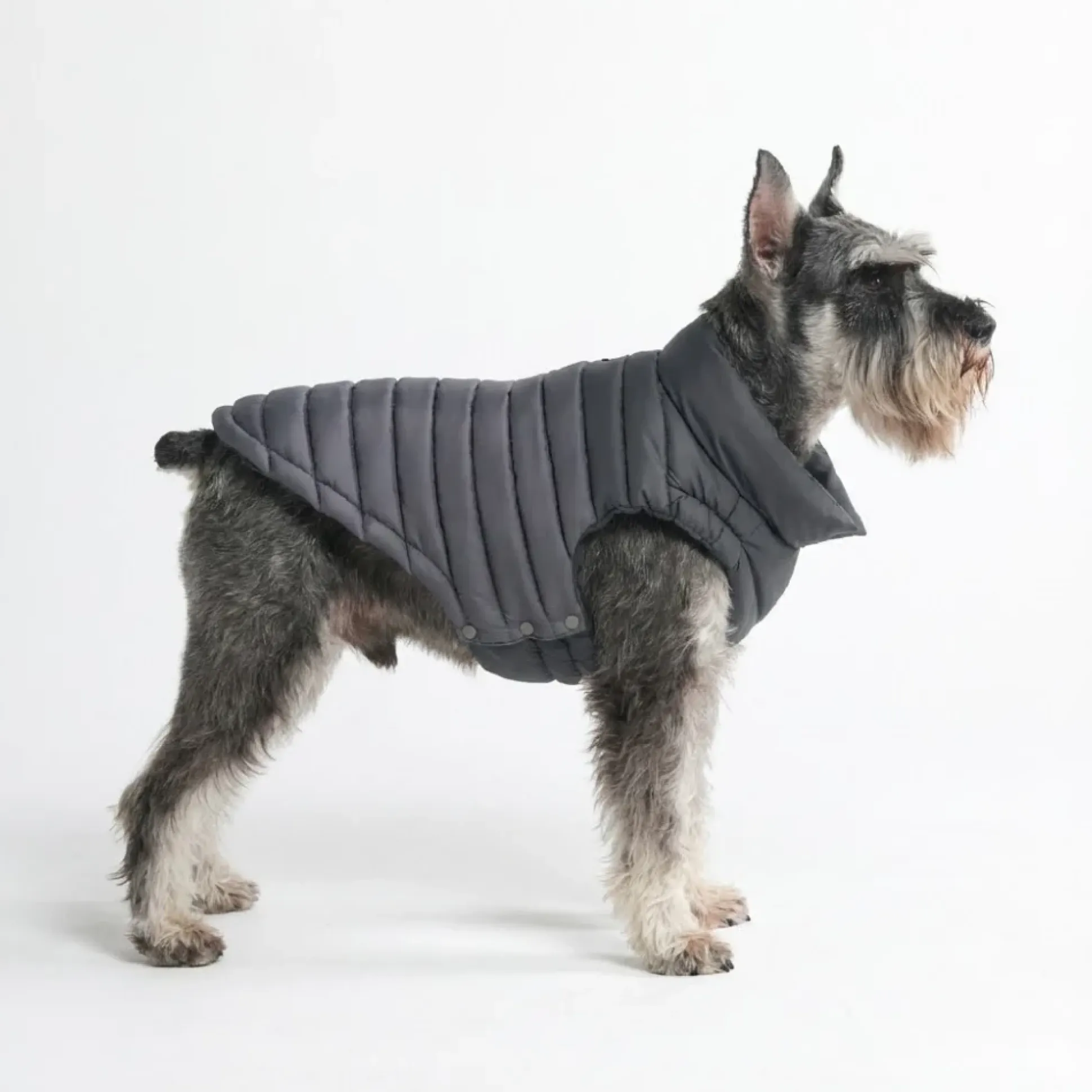 PuffShield Winter Jacket - Black