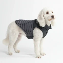 PuffShield Winter Jacket - Black