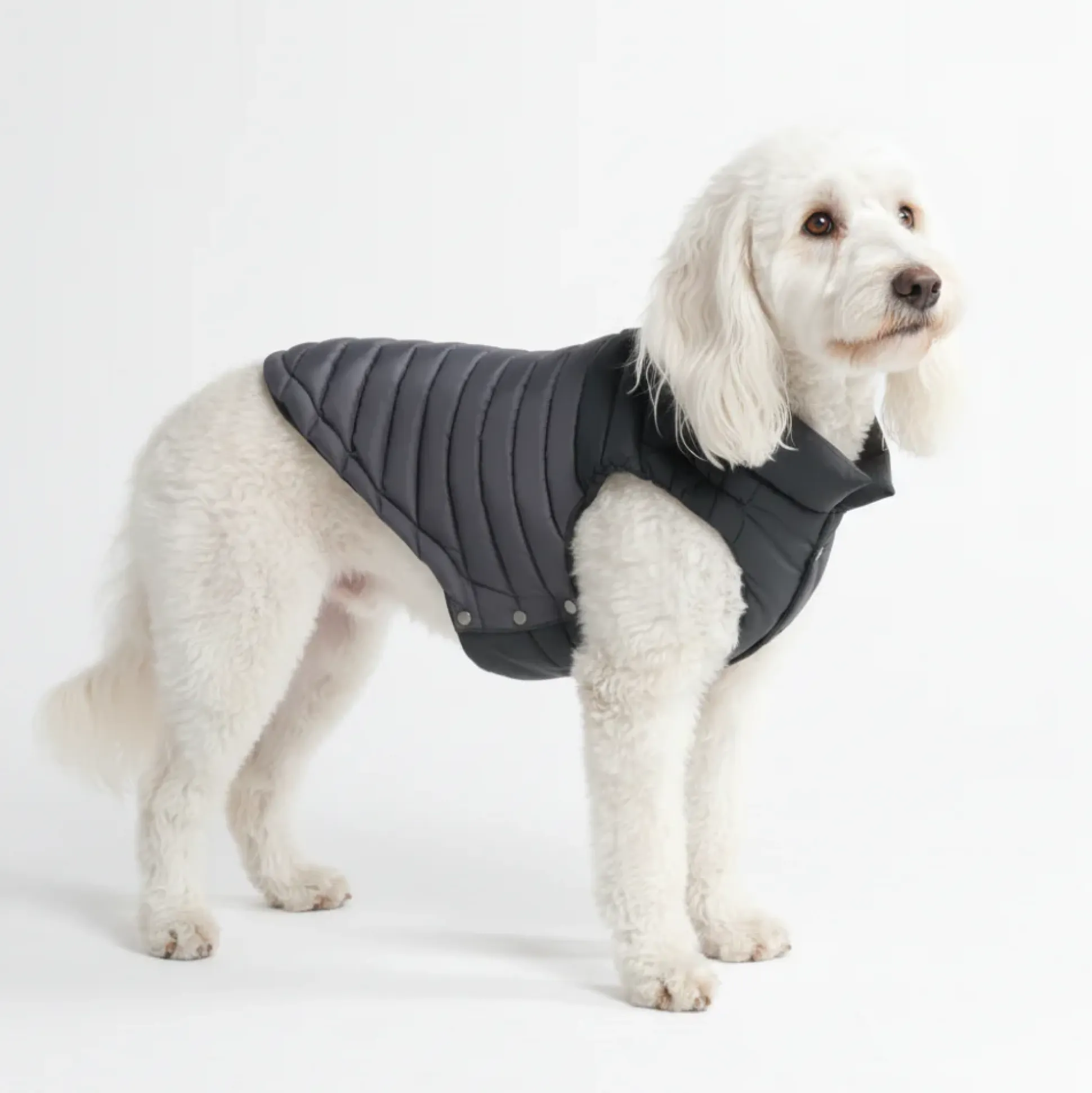 PuffShield Winter Jacket - Black