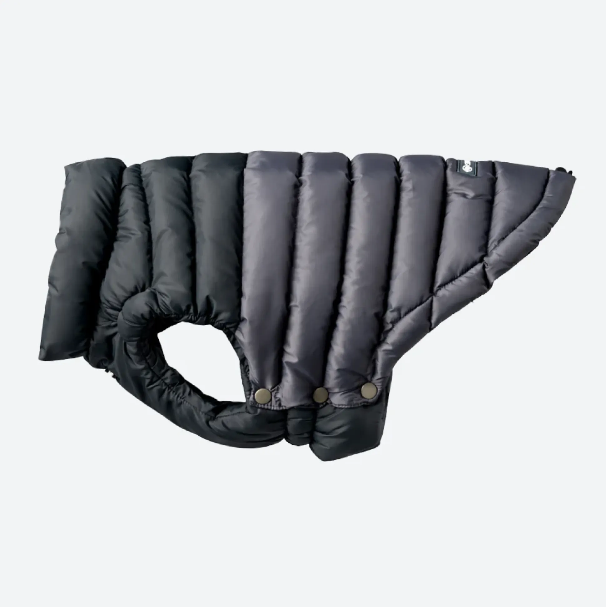 PuffShield Winter Jacket - Black