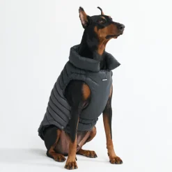 PuffShield Winter Jacket - Black