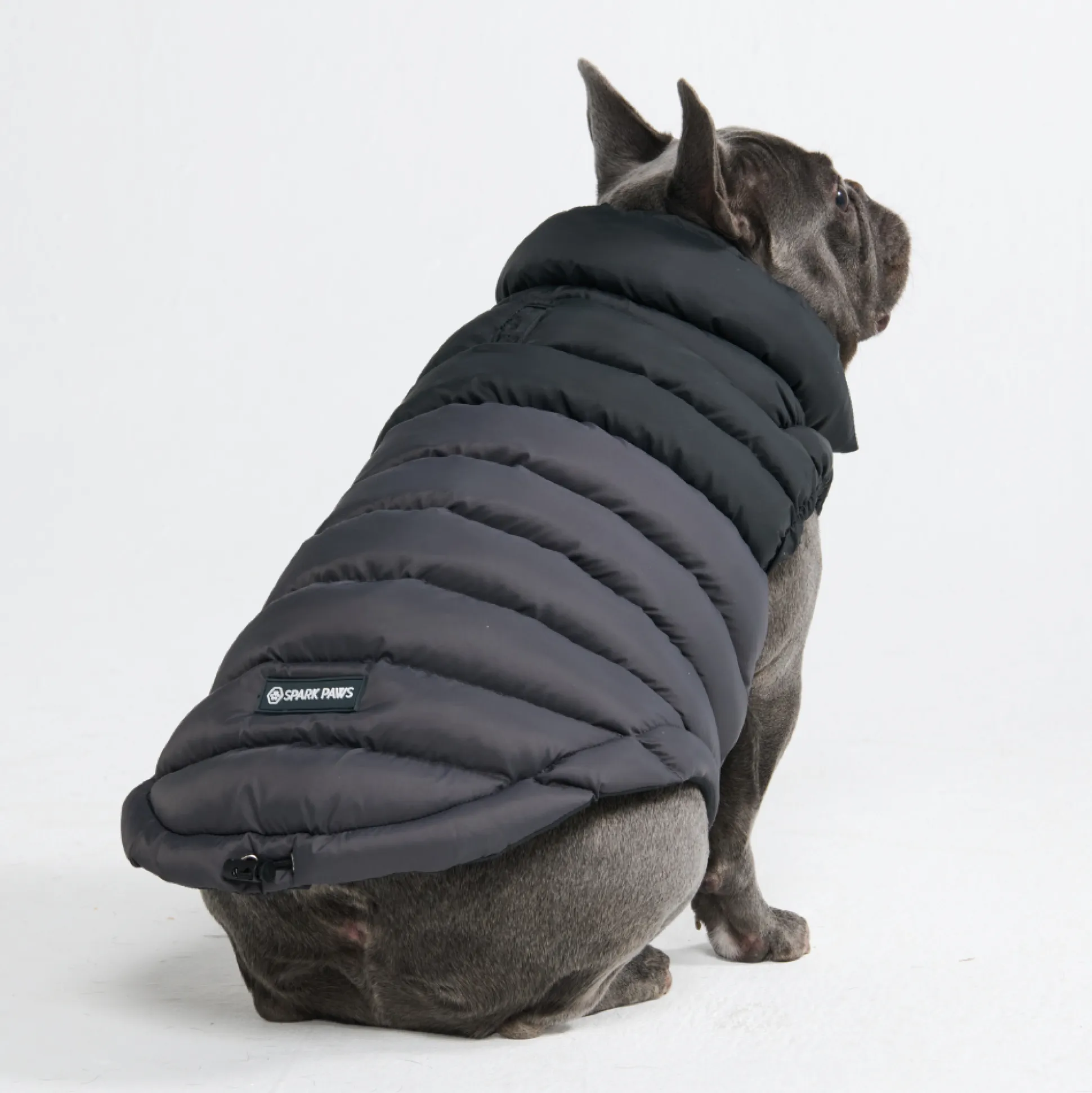 PuffShield Winter Jacket - Black