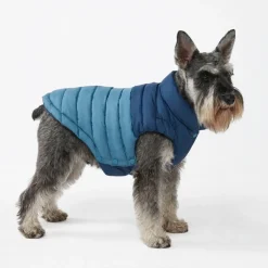 PuffShield Winter Jacket - Blue