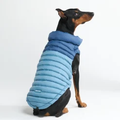 PuffShield Winter Jacket - Blue
