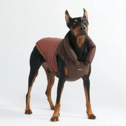 PuffShield Winter Jacket - Brown