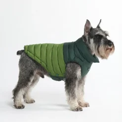 PuffShield Winter Jacket - Green